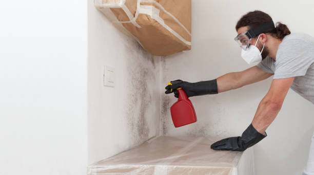 Professional Attic Mold Remediation technician working in Myerstown, PA