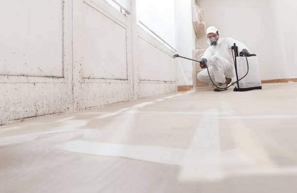 24/7 Emergency Attic Mold Remediation experts in Myerstown, PA