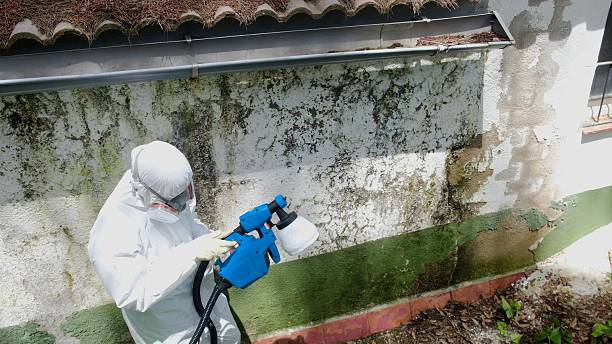 Top rated local Attic Mold Remediation specialists in Myerstown, PA